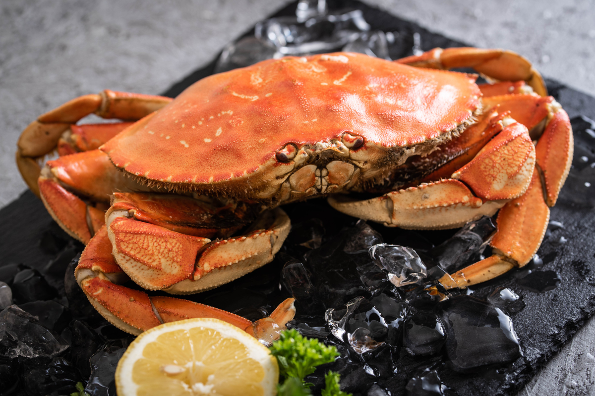 Freshly Prepared Dungeness Crab Cakes